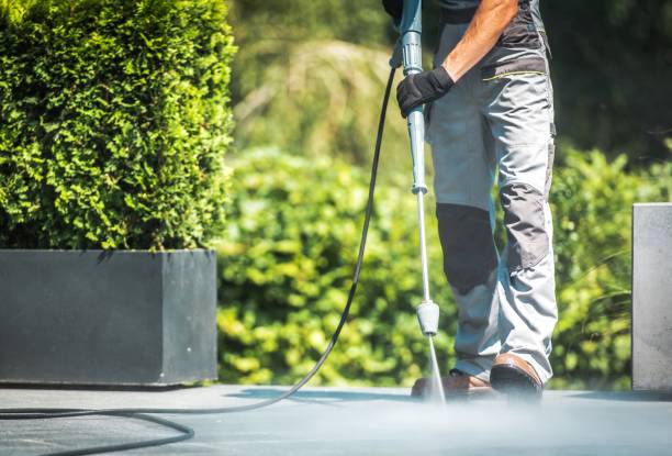 Best Rust Removal  in Braidwood, IL