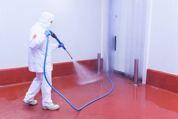 Best House Exterior Washing  in Braidwood, IL