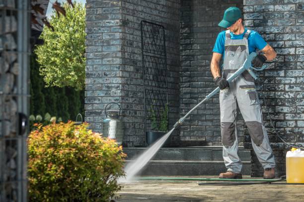 Best Driveway Pressure Washing  in Braidwood, IL