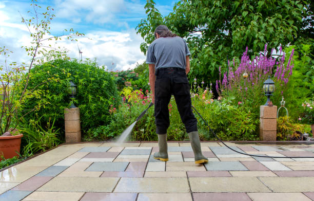 Best Animal Enclosure Cleaning  in Braidwood, IL