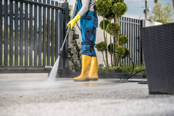 Best Gutter Cleaning  in Braidwood, IL